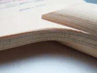 Butterfly All Hinoki 5 - composition