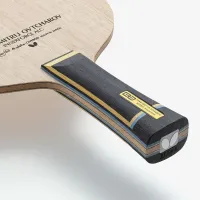 Butterfly Dimitrij Ovtcharov - composition