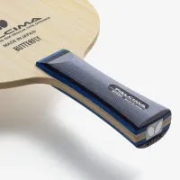 Butterfly Falcima - composition