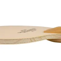 Butterfly Garaydia ZLC - composition