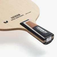 Butterfly Hadraw 5 - composition