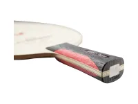 Butterfly Liu Shiwen - composition