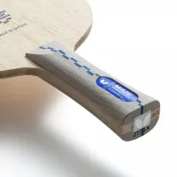 Butterfly Maze Performance - composition