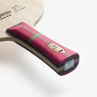 Butterfly Tiago Apolonia ZLC - composition