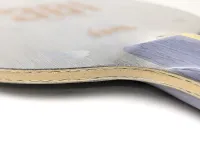 DHS Hurricane 301 - composition