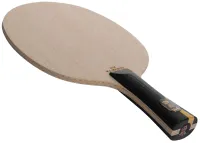 DHS Hurricane Wang Chuqin - composition