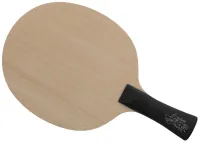 DHS Hurricane Wang Chuqin - main