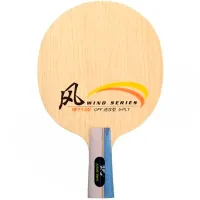 DHS Wind W1130 - main