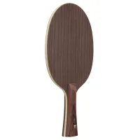 Stiga Destiny Carbon - composition