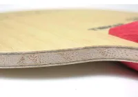 Tibhar Cedric Nuytinck Hybrid ZC - composition