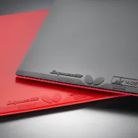 Butterfly Dignics 09C - sponge