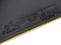 DHS Gold Arc 8 - sponge