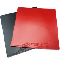 DHS Gold Arc 9 - sponge