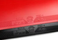 Friendship/729 729-5 - sponge