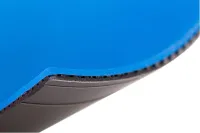 Friendship/729 Battle 2  Provincial Blue Sponge - sponge