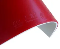 Friendship/729 Phoenix II - sponge