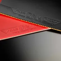 Stiga DNA Dragon Power 55 - sponge