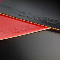 Stiga DNA Dragon Power 57.5 - sponge