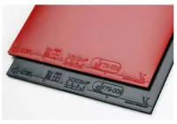 Xiom Vega Asia - sponge