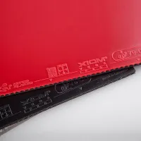 Xiom Vega Pro - sponge