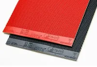 Xiom Zava 1 - sponge